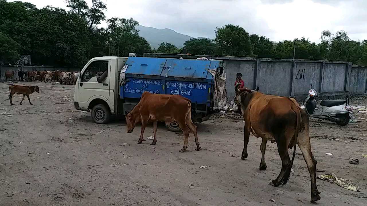 જુનાગઢ કોર્પોરેશનની સમસ્યાઓની ફરિયાદ