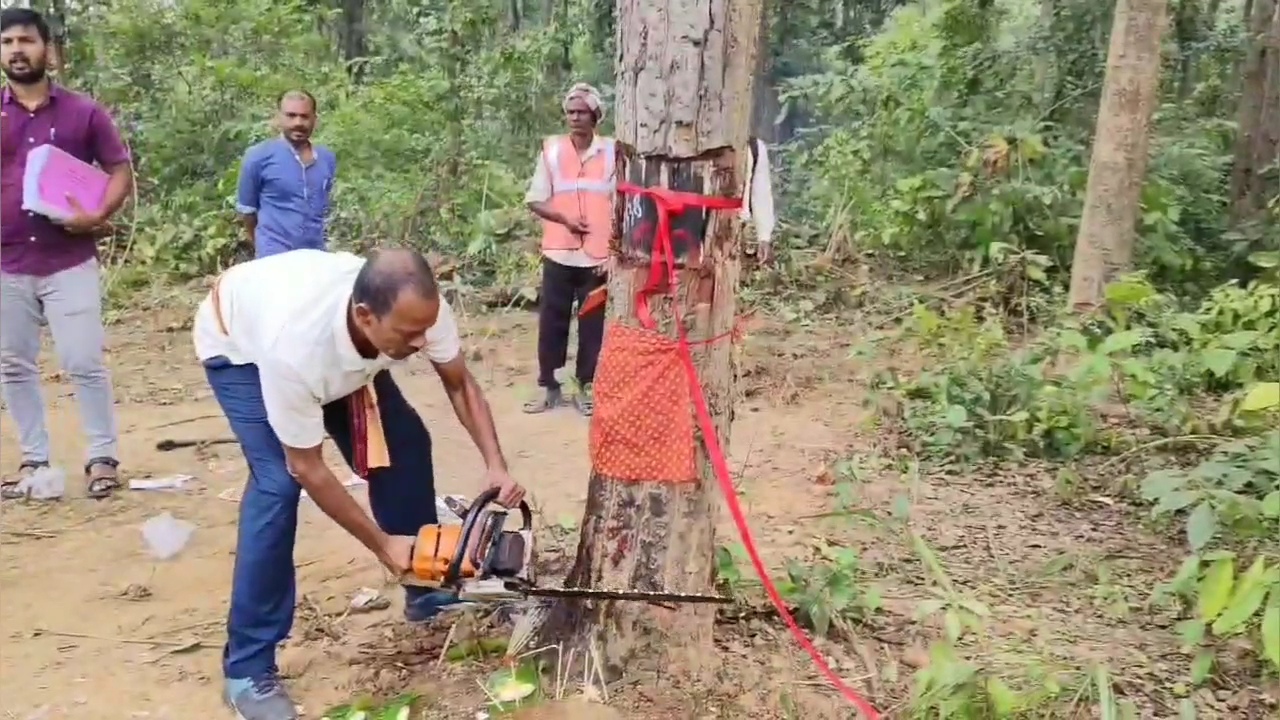 Deforestation In Anugul