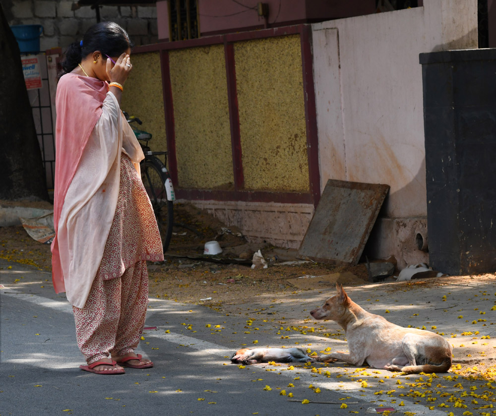 dog baby death in thirupathi