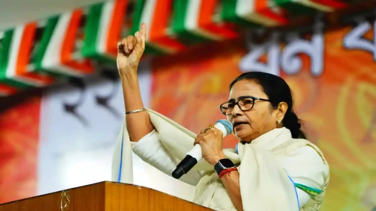 West Bengal Chief Minister Mamata Banerjee is of the opinion that if at all her Bihar counterpart Nitish Kumar jumps the ship, it won't have any impact on the INDIA alliance.