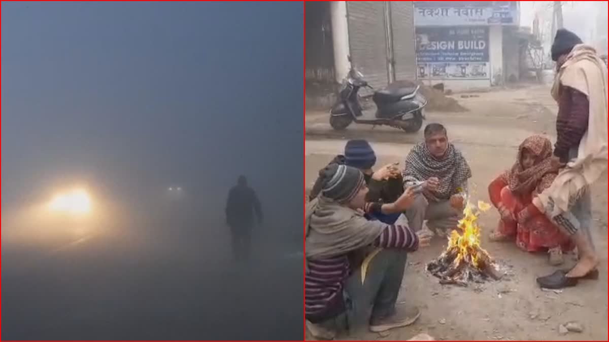 Haryana Cold Wave  Heavy Fog Cold day Alert Chandigarh Ambala Weather Alert