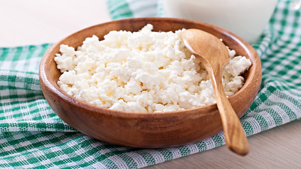 Curd Rice for Health News