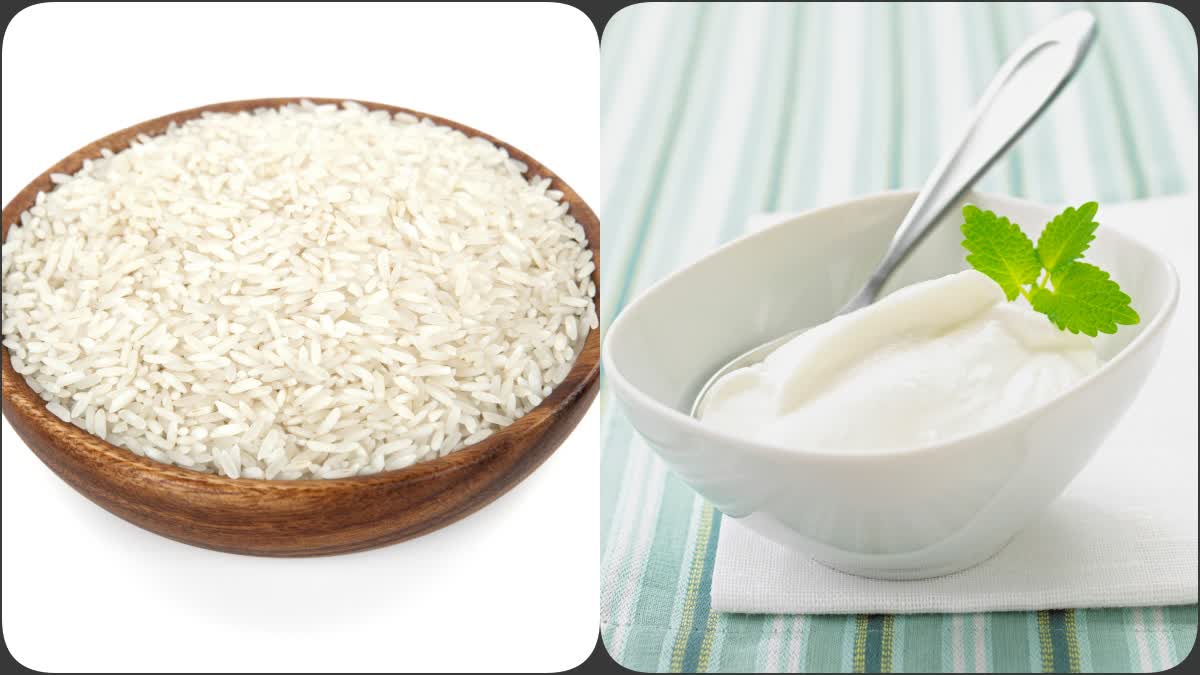 Curd Rice Benefits