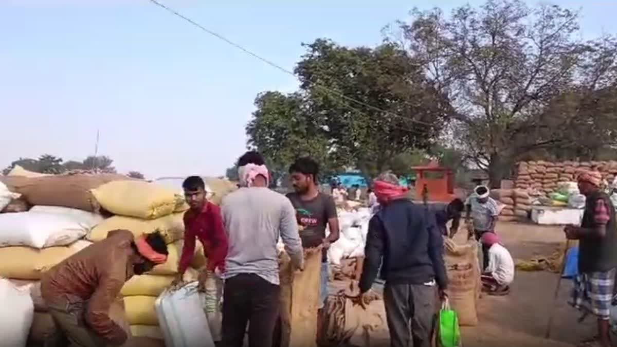 Balodabazar farmers demand