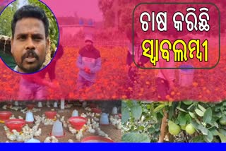 ପେଶାରେ ଶିକ୍ଷକ ହେଲେ ନିଶା ତାଙ୍କର କୃଷି