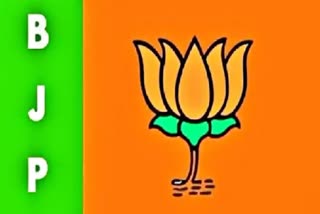 BJP Parliament Clusters Meetings 2024