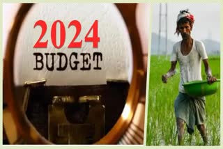 Budget 2024 Expectations in Agriculture Sector