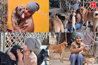 Dog lover in Meerut