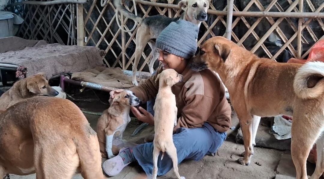 Dog lover in Meerut