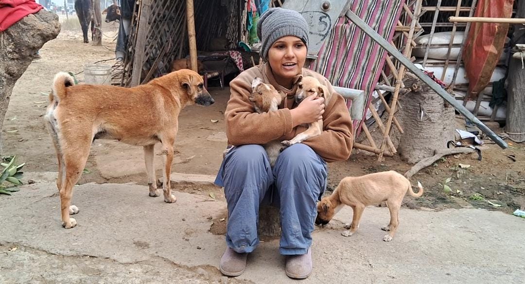 Dog lover in Meerut
