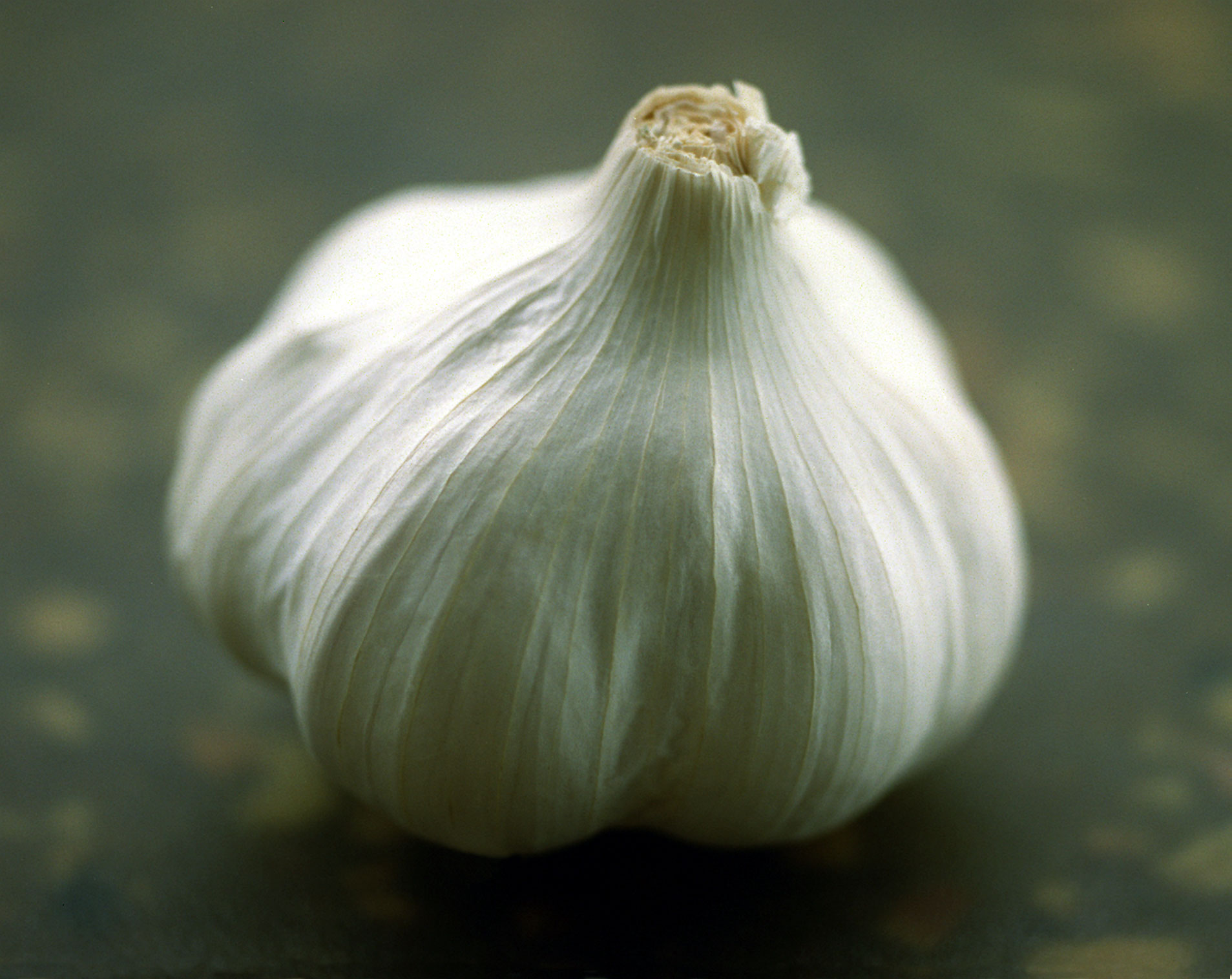 Garlic Benefits in Telugu