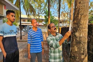 GONIOZUS NEPHANTIDIS  BRACON BREVICORNIS  COCONUT BLACK HEADED CATERPILLAR  MEASURES TO GET HIGH COCONUT YIELD