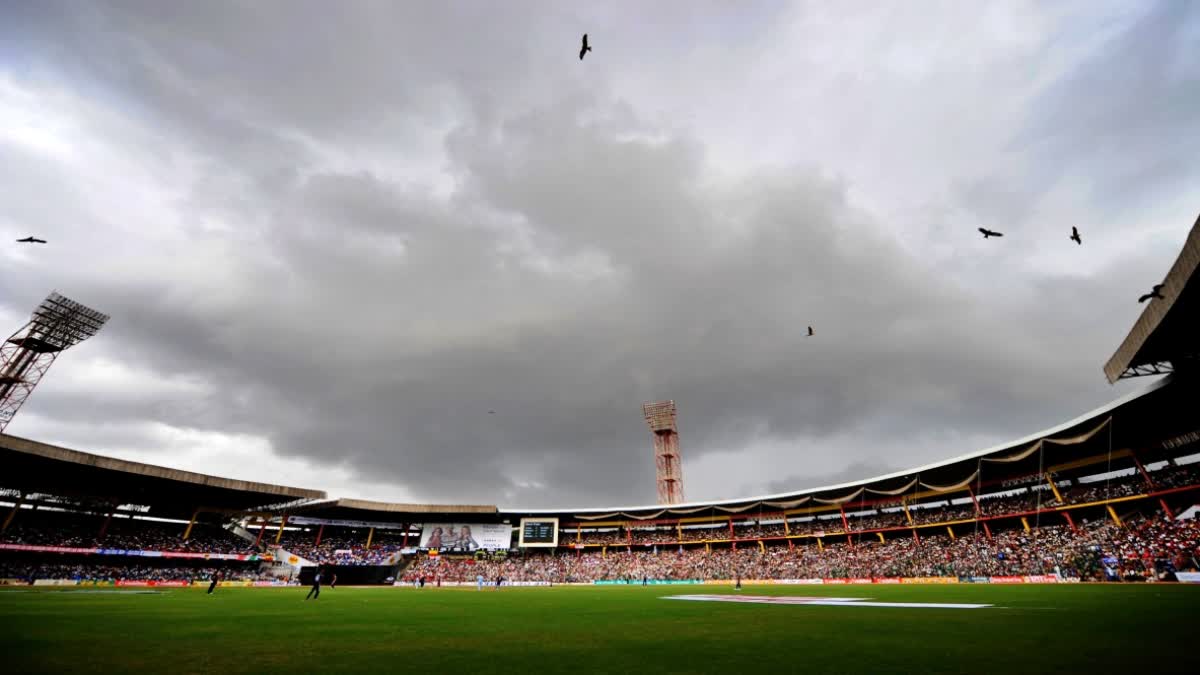 cricket pitch curator