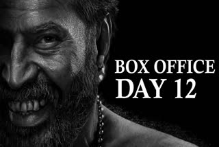 Bramayugam Box Office Day 12: Mammootty Starrer Witnesses Drop, Mints Rs 0.67 Crore