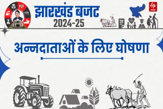 Jharkhand Budget 2024