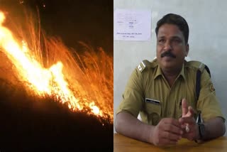 വേനല്‍ ചൂട്  ഇടുക്കി കാട്ടു തീ  കാട്ടു തീ ആശങ്ക  Wildfire In Idukki  Wildfire Warning Of Fire Force