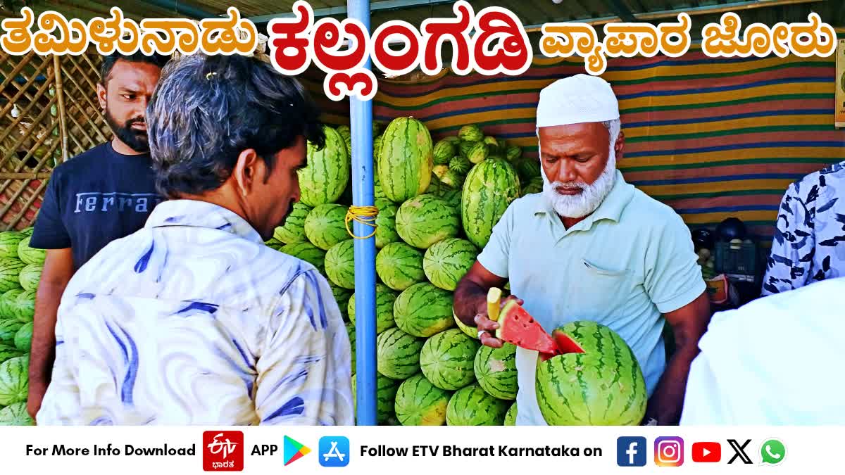 DAVANAGERE  DEMAND FOR WATERMELONS  WATERMELON BUSINESS  ತಮಿಳುನಾಡು ಕಲ್ಲಂಗಡಿ TAMIL NADU WATERMELONS