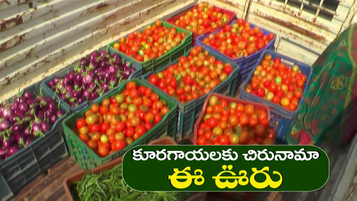 Chandru Thanda Organic Vegetables Farming