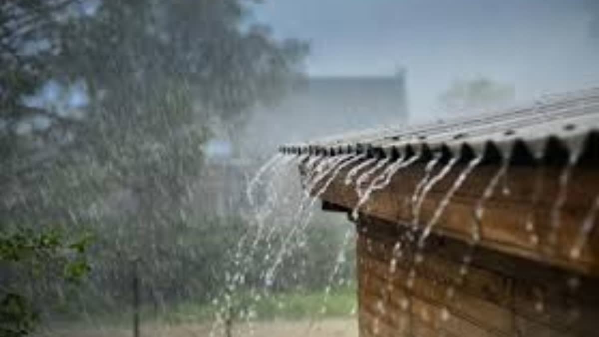 Rain alert in Haryana