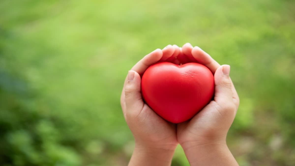 TIPS FOR IMPROVING HEART HEALTH  HOW TO TAKE CARE OF HEART HEALTH  BEST WAYS TO KEEP HEART HEALTHY  HABITS THAT KEEP HEART HEALTHY