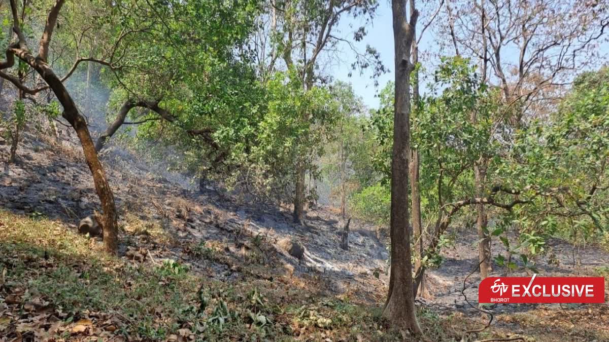 FIRE LINE IN UTTARAKHAND