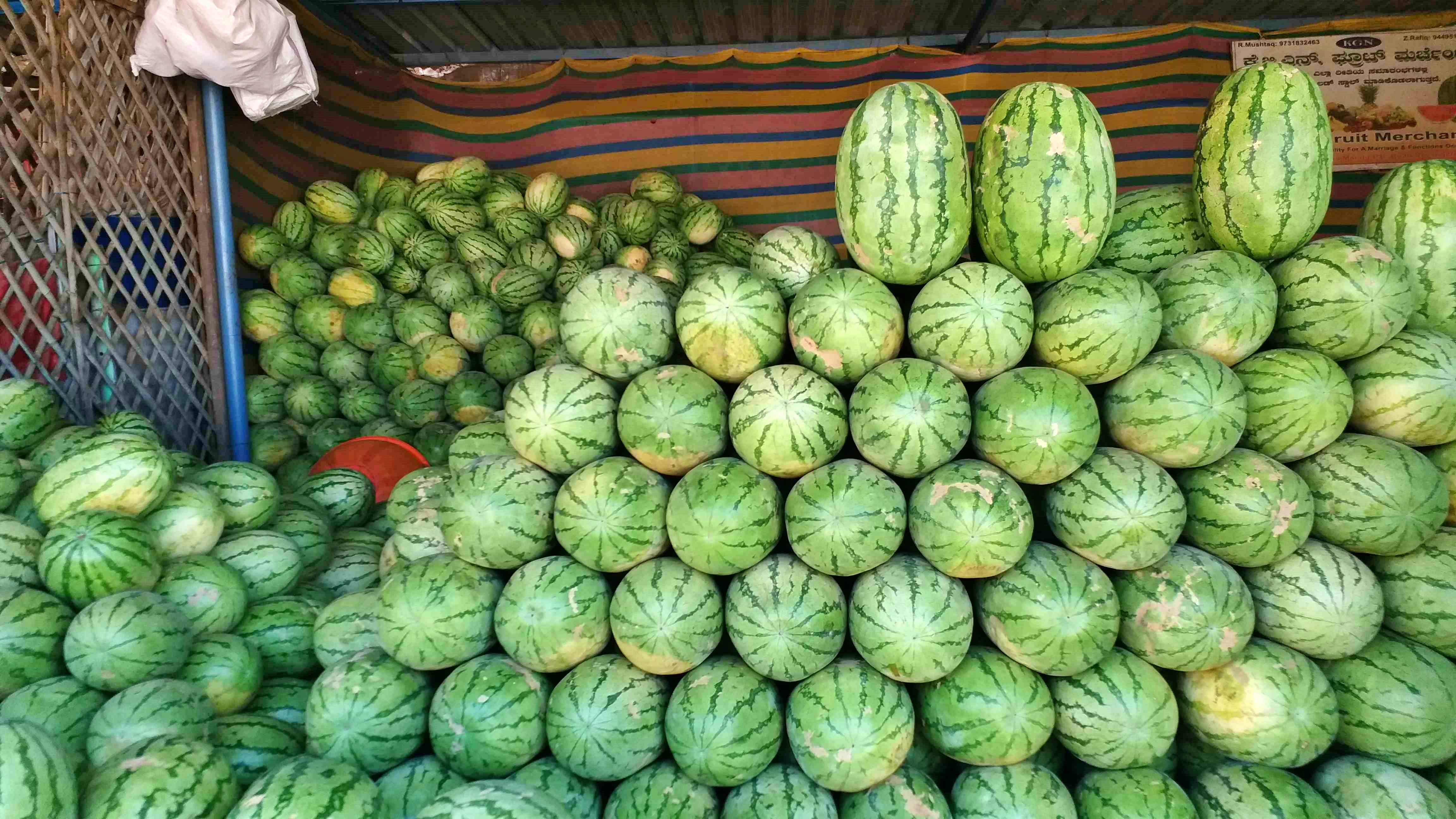 DAVANAGERE  DEMAND FOR WATERMELONS  WATERMELON BUSINESS  ತಮಿಳುನಾಡು ಕಲ್ಲಂಗಡಿ TAMIL NADU WATERMELONS