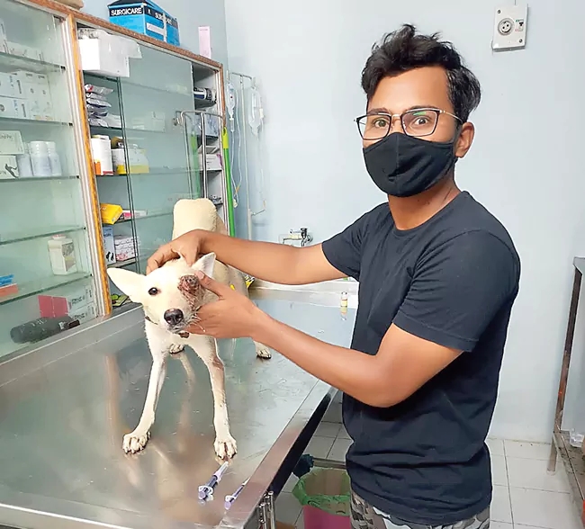 Some NGOS Rescue and Strive To Better World For Stray Animals