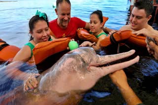 DOLPHIN THERAPHY  DIFFERENTLY ABLED PEOPLES  DOLPHIN THERAPY IN BRAZIL  DISABILITY PEOPLES