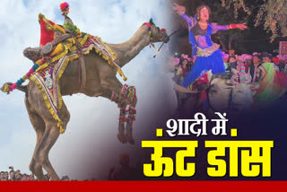 INDORE CAMEL DANCE TRAINING