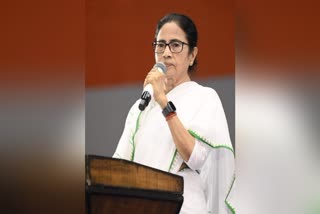 West Bengal Chief Minister Mamata Banerjee