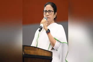 MAMATA BANERJEE ACCUSES BJP