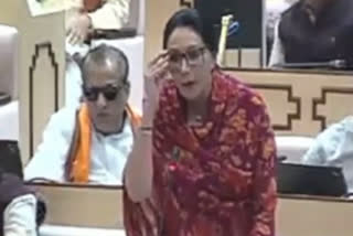 Deputy CM Diya Kumari in the Assembly