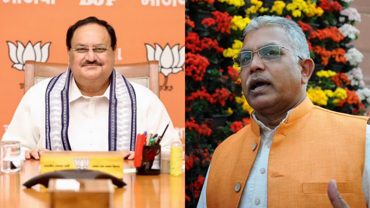 Nadda sought clarification from Dilip Ghosh for his comments on Mamata Banerjee (Photo IANS)