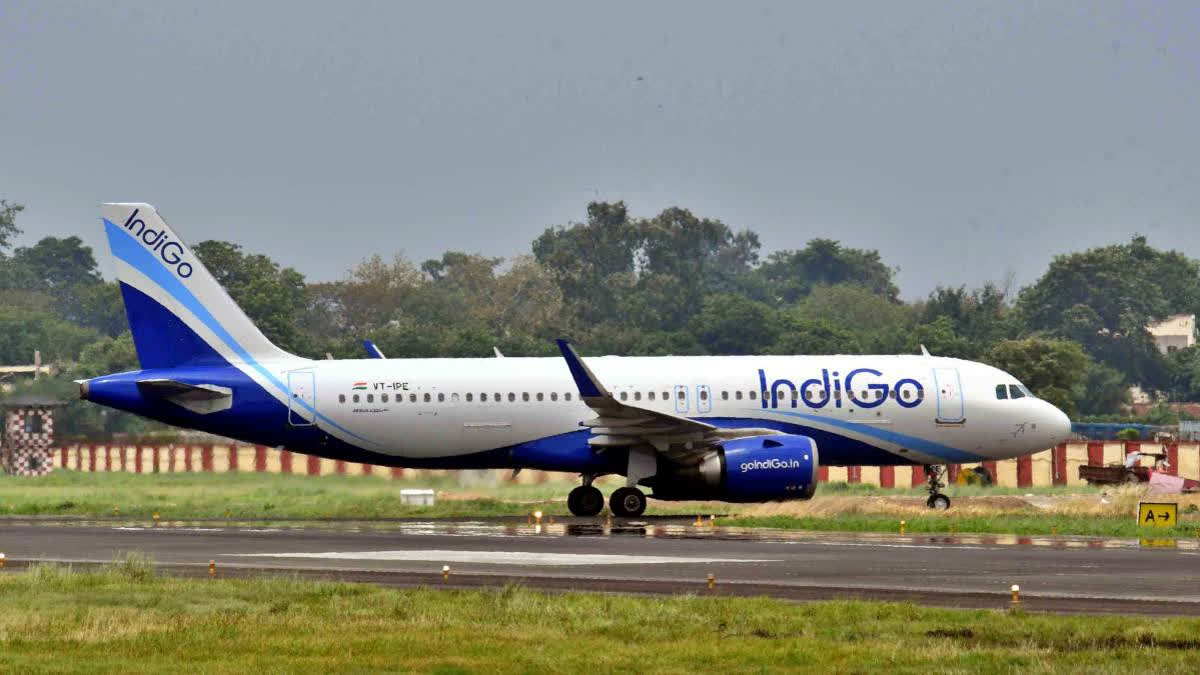 Speaking about IndiGo's growth, airline CEO said that they aim to double the network of the airline by 2030. He also spoke about new routes of the airlines. He said that IndiGo will see several international destinations ahead.