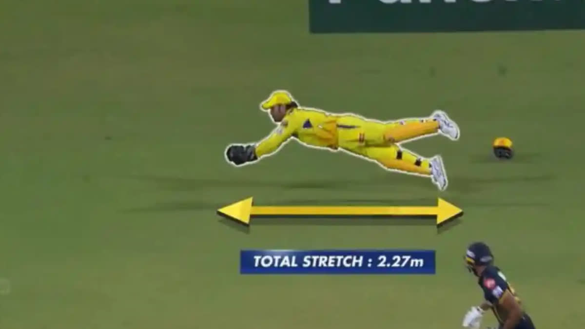 2.27 meters Mahendra Singh Dhoni took a great catch by diving