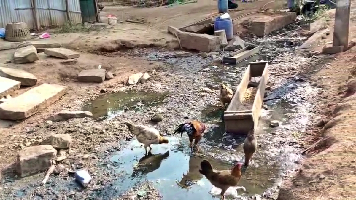 ಮನೆ ಮುಂದೆಯೇ ಚರಂಡಿ ನೀರು ನಿಂತಿರುವುದು