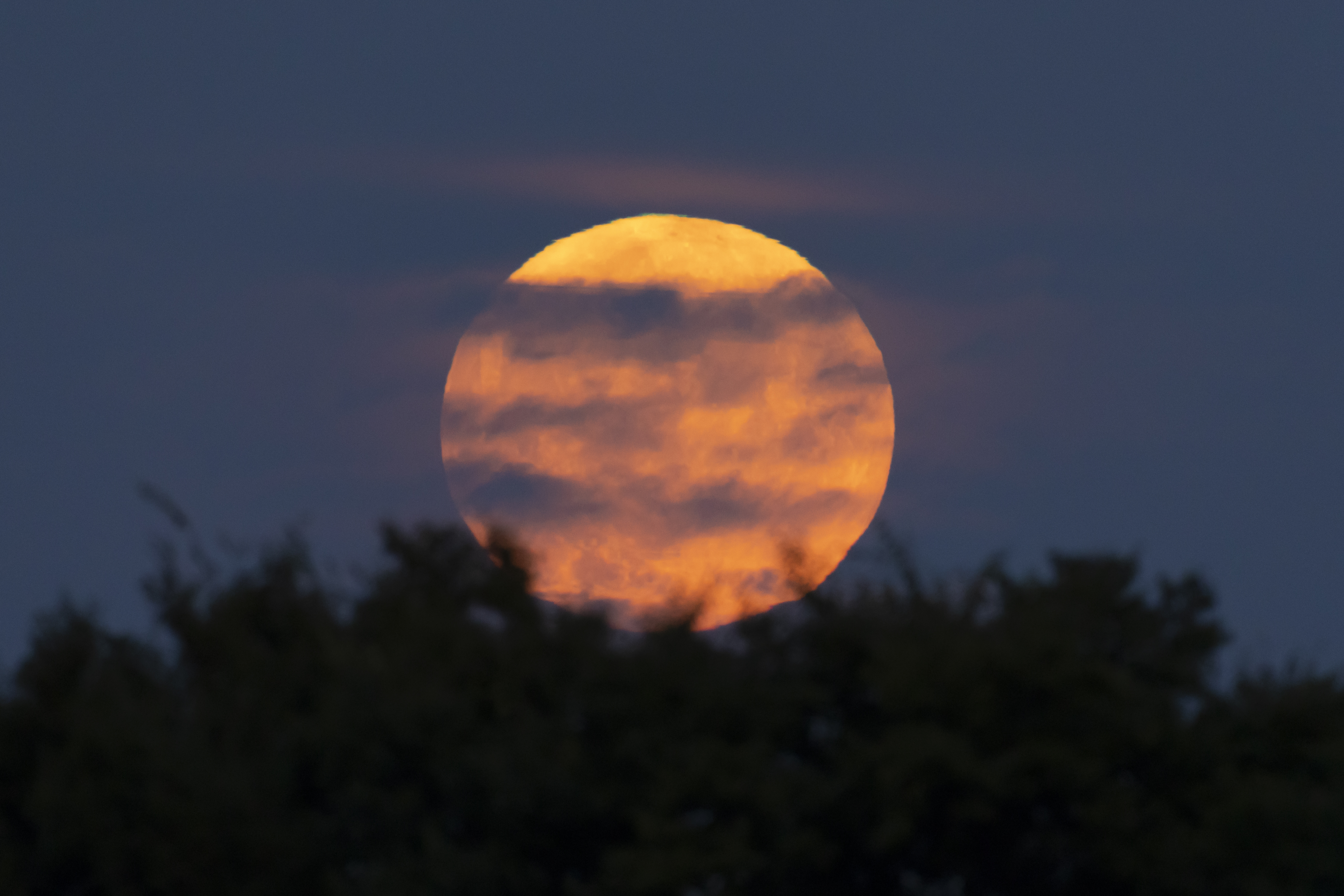 Northern Hemisphere spring season beginning marked by Warm Moon