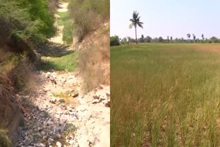 Water Problem in Nalgonda