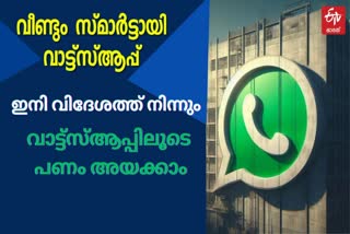 WHATSAPP  NEW PAYMENT FEATURE  UPI APPS  GOOGLE PAY