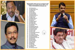 list of BJP star campaigners