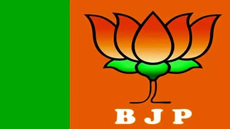 full list of Chhattisgarh BJP candidates