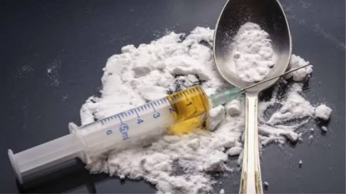 10 चिट्टा तस्करों को तीन दिन का रिमांड