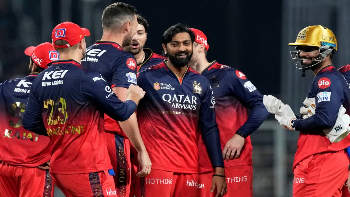 royal challengers bengaluru team