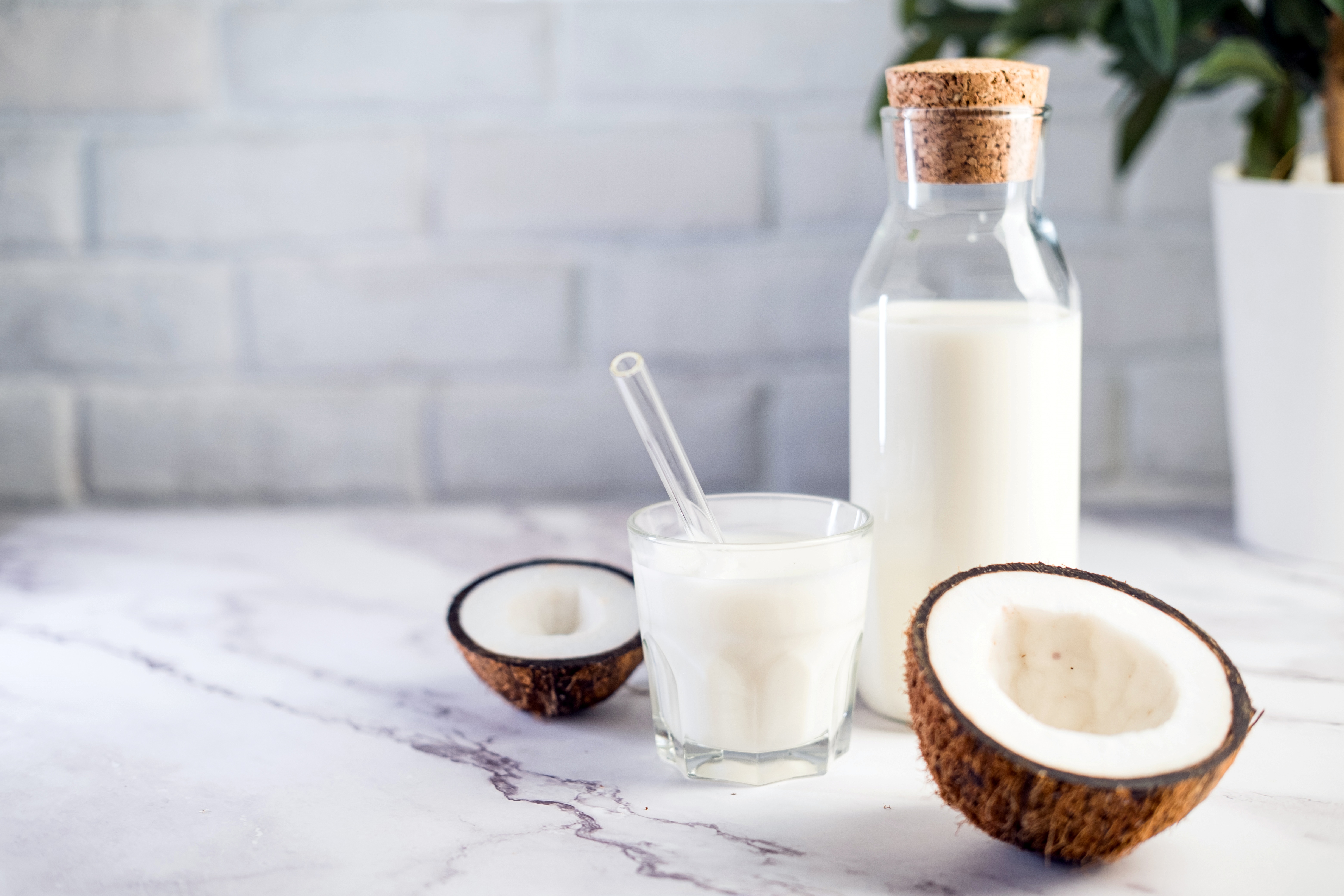 Coconut Milk