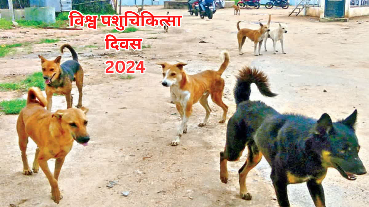 WORLD VETERINARY DAY 2024