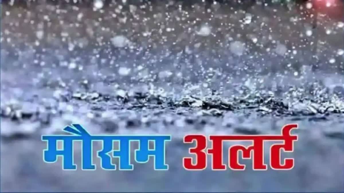 Rain And Hailstorm In Haryana