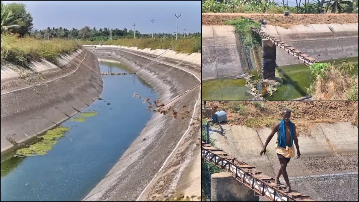 Vaigai dam bridge issue