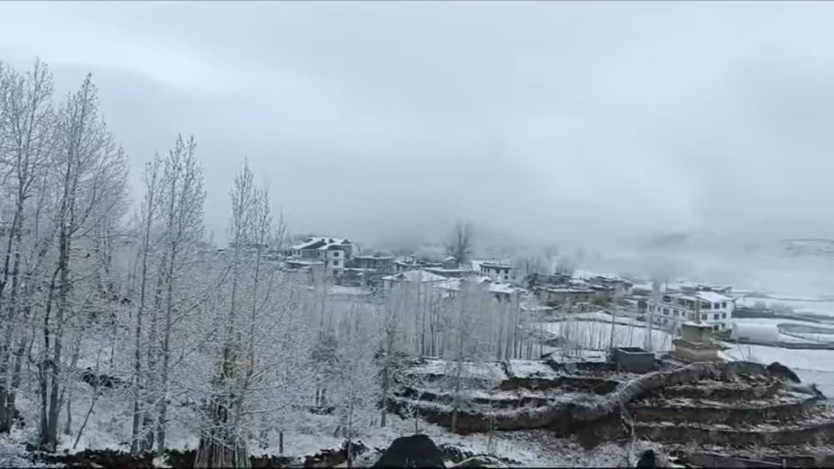 SNOWFALL UPDATES IN KULLU