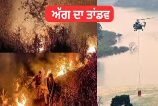 A forest fire broke out in Nainital, the air force took command