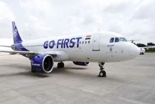 Delhi HC Asks DGCA to De-register 54 Go Flight Aircraft in 5 Working Days